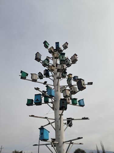 Однодневный поход учащихся кружка "Юные туристы-краеведы" в посёлок/ущелье Ак-Тюз