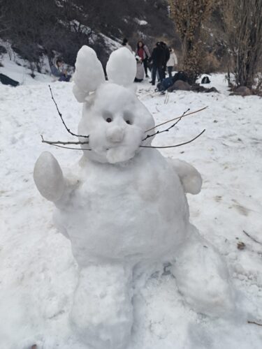 Экскурсия-поход в живописное Малиновое ущелье 🏔️❄️