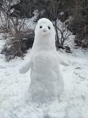 Экскурсия-поход в живописное Малиновое ущелье 🏔️❄️