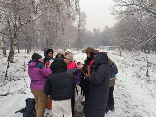 🌿📚 Уроки природы под открытым небом 🐦🌲
