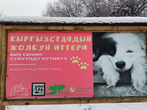 🌿📚 Уроки природы под открытым небом 🐦🌲