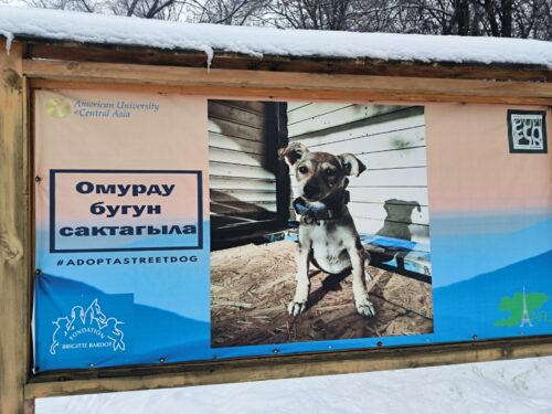 🌿📚 Уроки природы под открытым небом 🐦🌲