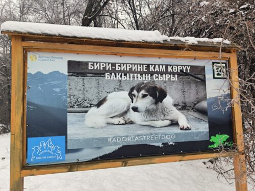 🌿📚 Уроки природы под открытым небом 🐦🌲