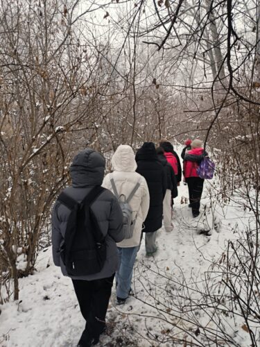 🌿📚 Уроки природы под открытым небом 🐦🌲