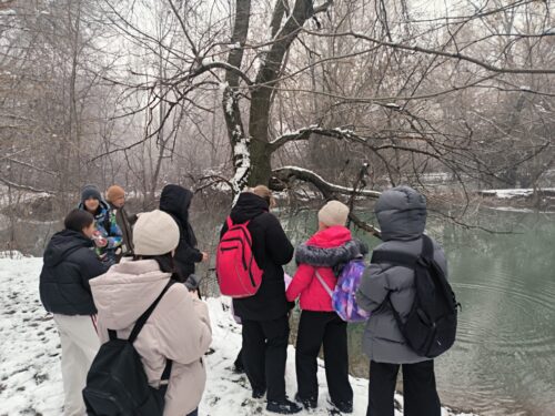 🌿📚 Уроки природы под открытым небом 🐦🌲