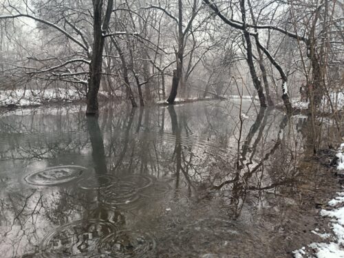 🌿📚 Уроки природы под открытым небом 🐦🌲