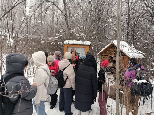 🌿📚 Уроки природы под открытым небом 🐦🌲