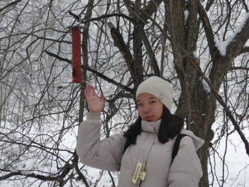 🌿📚 Уроки природы под открытым небом 🐦🌲