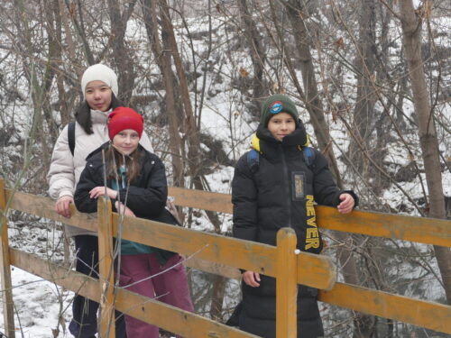 🌿📚 Уроки природы под открытым небом 🐦🌲