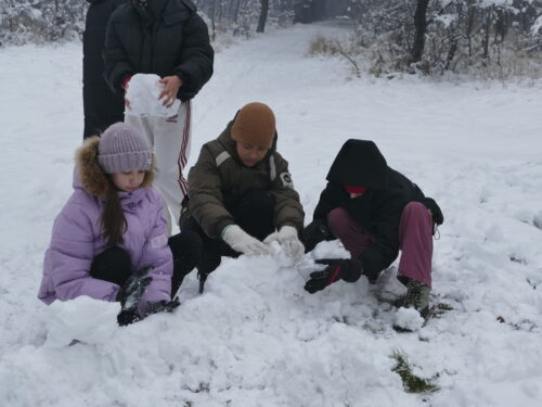 🌿📚 Уроки природы под открытым небом 🐦🌲